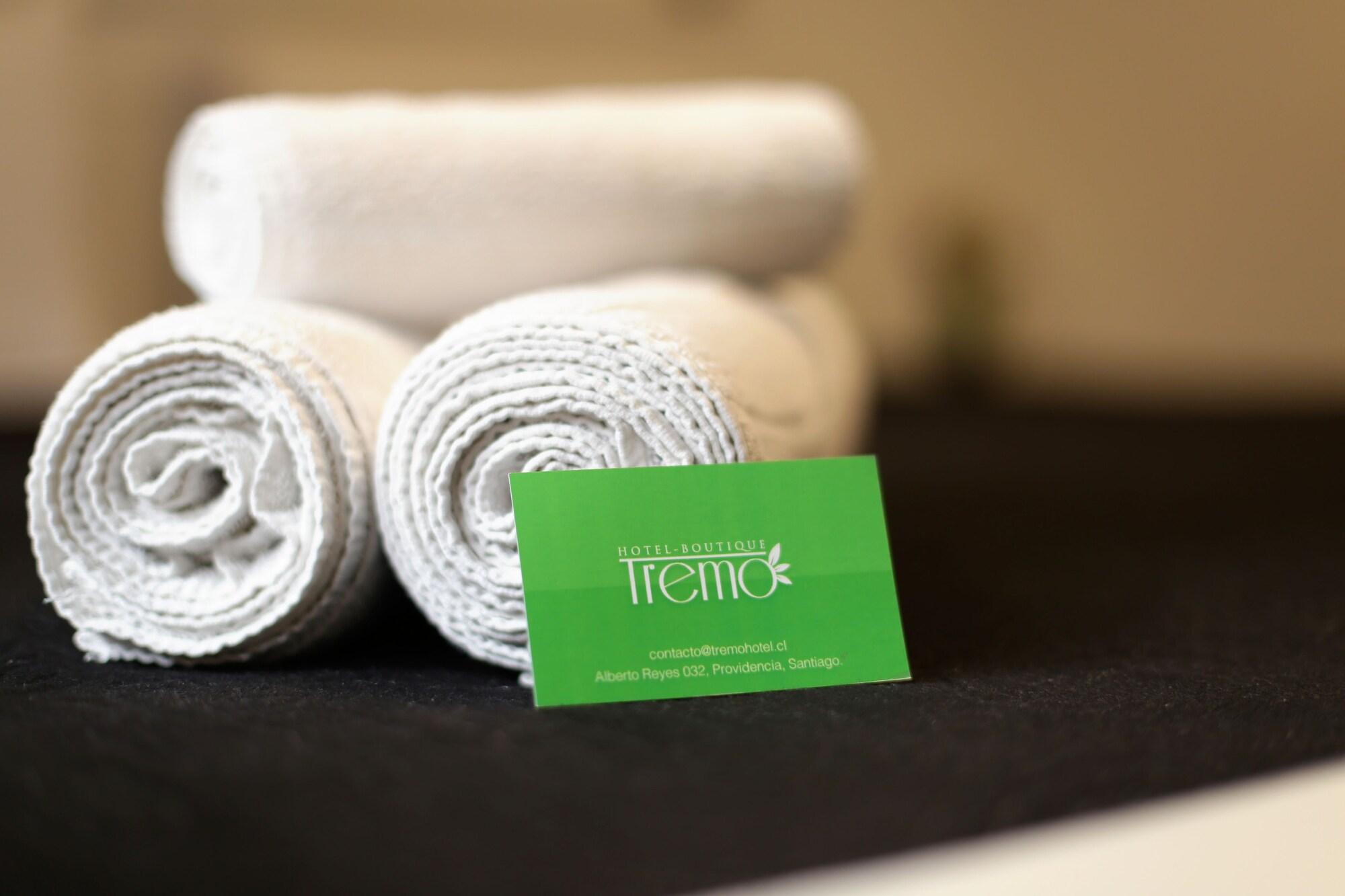 Hotel Boutique Tremo Bustamante ซานติอาโก ภายนอก รูปภาพ